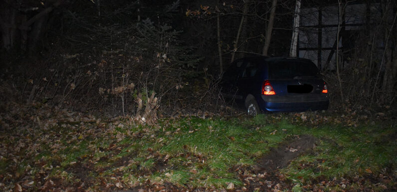 Von der Straße abgekommen und im Gebüsch gelandet