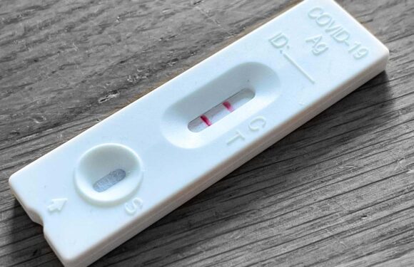 Niedersachsen: Keine Isolationspflicht und PCR-Testpflicht mehr bei positivem Selbsttest nach dem 31. Januar 2023
