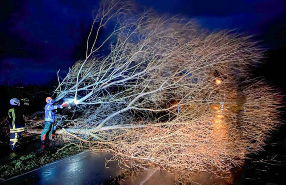 Zahlreiche Blaulicht-Einsätze wegen Sturm „Ylenia“ im Landkreis Schaumburg