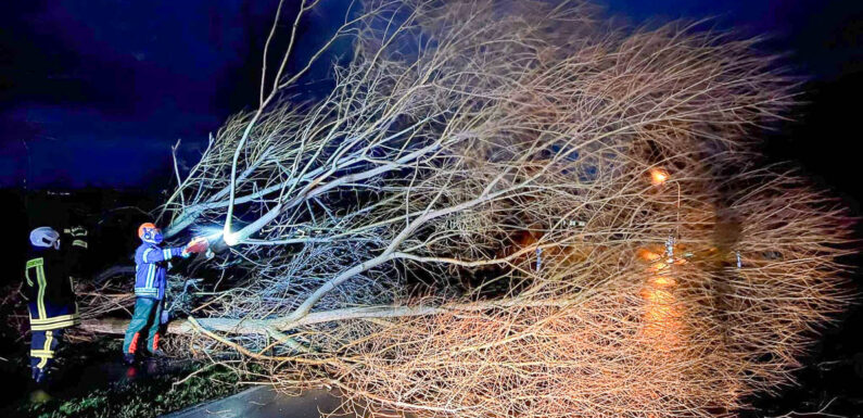 Zahlreiche Blaulicht-Einsätze wegen Sturm „Ylenia“ im Landkreis Schaumburg