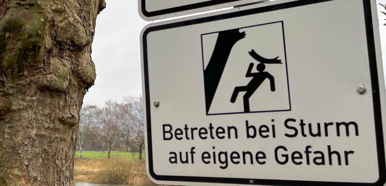 Deutscher Wetterdienst warnt vor Sturmböen im Landkreis Schaumburg