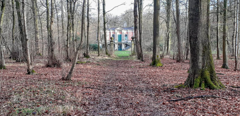Familienpatinnen zur Fortbildung auf Schloss Baum und im Schaumburger Wald