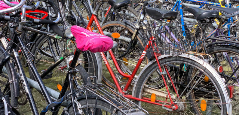 Stadthagen: Versteigerung von Fundsachen im Feuerwehrhaus
