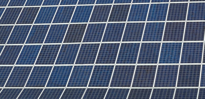 VHS-Kurse zu Photovoltaik und Bio-Gemüse