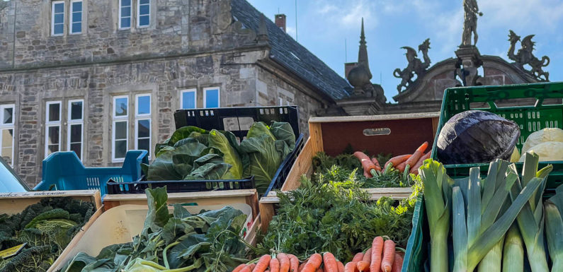 Erster Bückeburger Wochenmarkttermin im neuen Jahr fällt aus