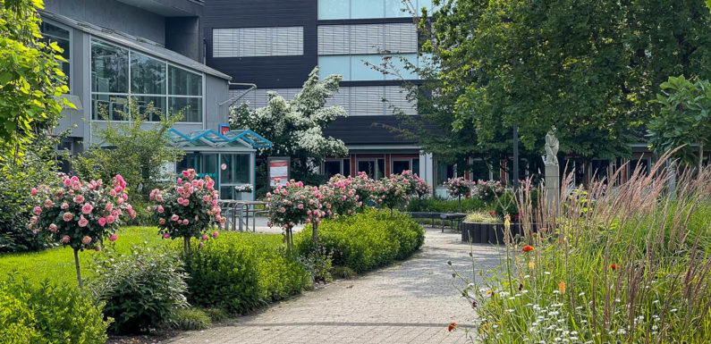 Fortbildung für Ehrenamtliche: Konfliktmanagement im Verein