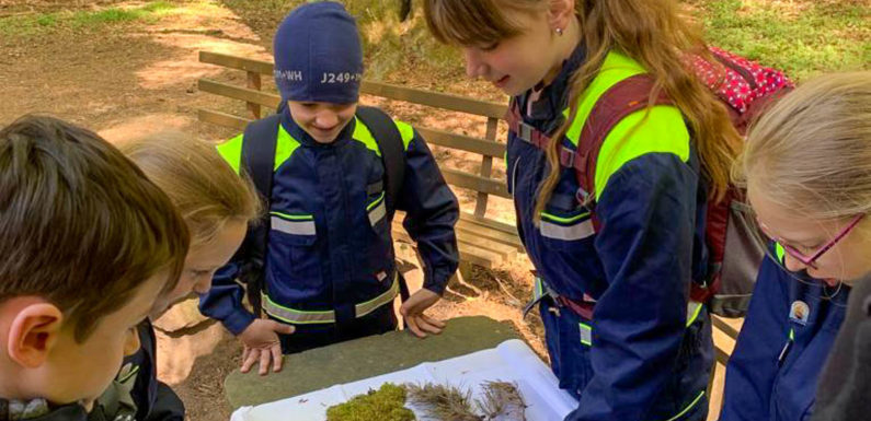 Kinderfeuerwehren der Samtgemeinde Nienstädt bei Waldrallye unterwegs
