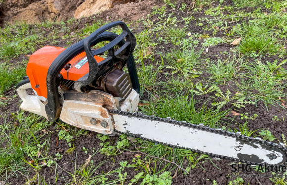 B65: Baumfällungen bei Kobbensen unter Vollsperrung