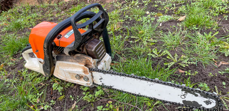 B65: Baumfällungen bei Kobbensen unter Vollsperrung