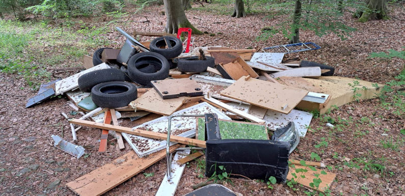 Wer hat den Müll im Wald bei Hagenburg entsorgt?