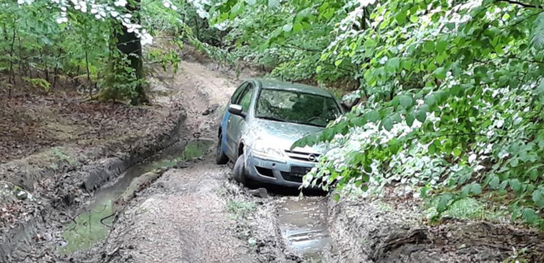Obernkirchen: Mit Opel im Wald festgefahren