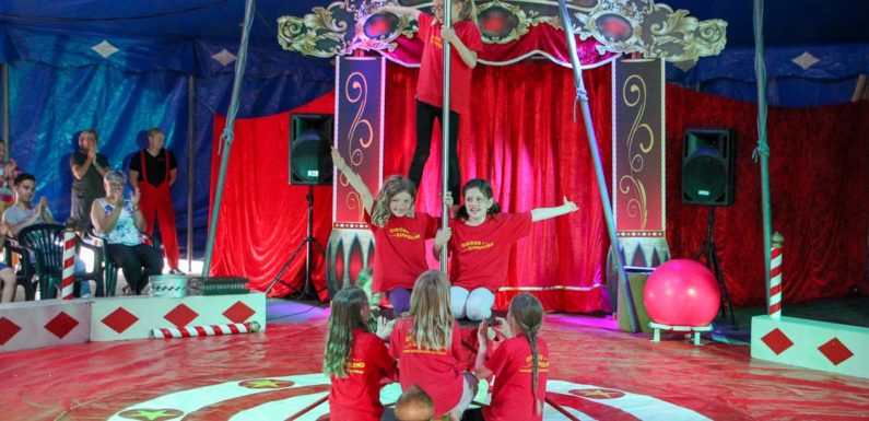 Grundschüler werden zu Stars in der Manege: Mitmachzirkus Zippolino gastiert an der Grundschule am Harrl