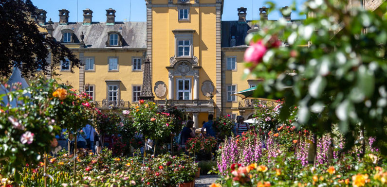 „Gartensymphonie“: 23. Landpartie auf Schloss Bückeburg vom 8. bis 11. Juni 2023