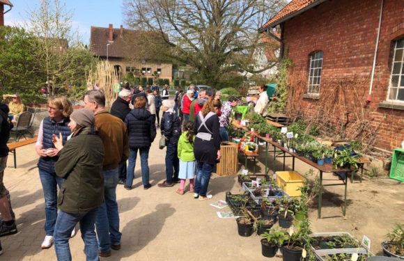 Pohler Pflanzenmarkt unterstützt AWO-Rucksack-Aktion