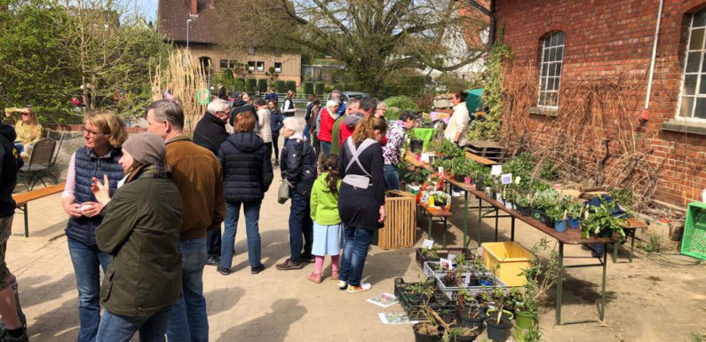 Pohler Pflanzenmarkt unterstützt AWO-Rucksack-Aktion