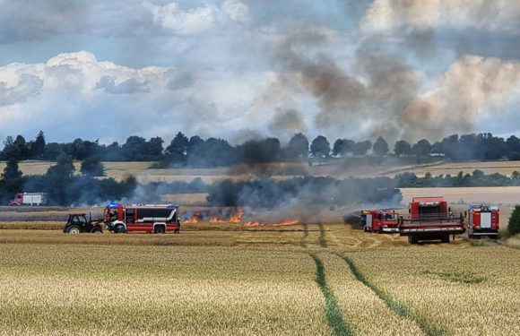 Brand auf Feld sorgt für Feuerwehreinsatz in Sachsenhagen
