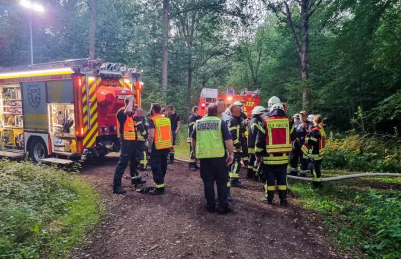 Sprengung einer Granate im Haster Wald