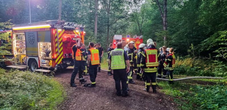 Sprengung einer Granate im Haster Wald