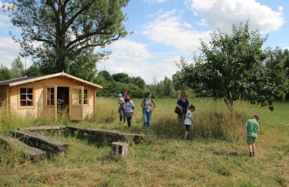 Forscherfest an der Grundschule Evesen: Mit offenen Augen und viel Neugier die Umwelt erleben