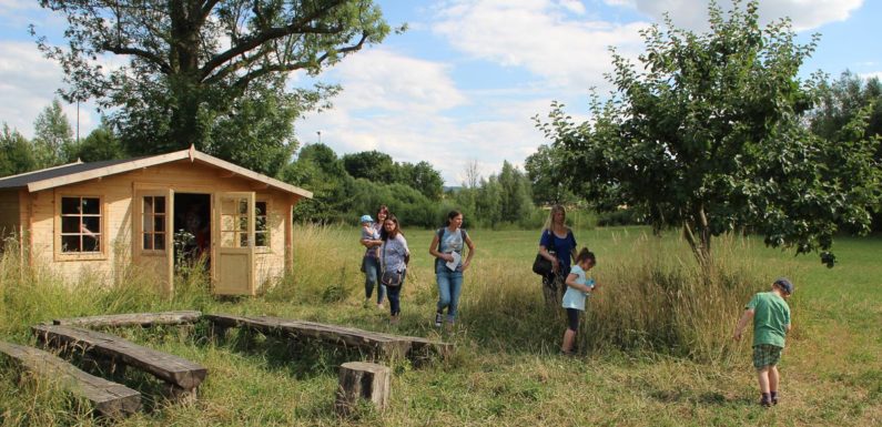 Forscherfest an der Grundschule Evesen: Mit offenen Augen und viel Neugier die Umwelt erleben