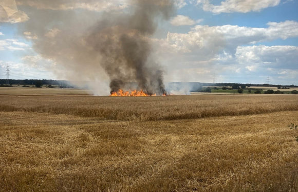 Kreisfeuerwehr Schaumburg warnt vor steigender Brandgefahr durch Trockenheit