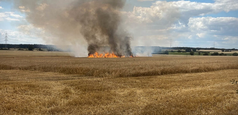 Kreisfeuerwehr Schaumburg warnt vor steigender Brandgefahr durch Trockenheit