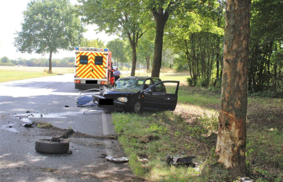 Bückeburger fährt in Minden alkoholisiert gegen Baum