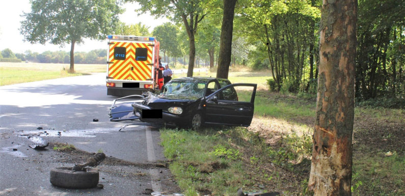 Bückeburger fährt in Minden alkoholisiert gegen Baum
