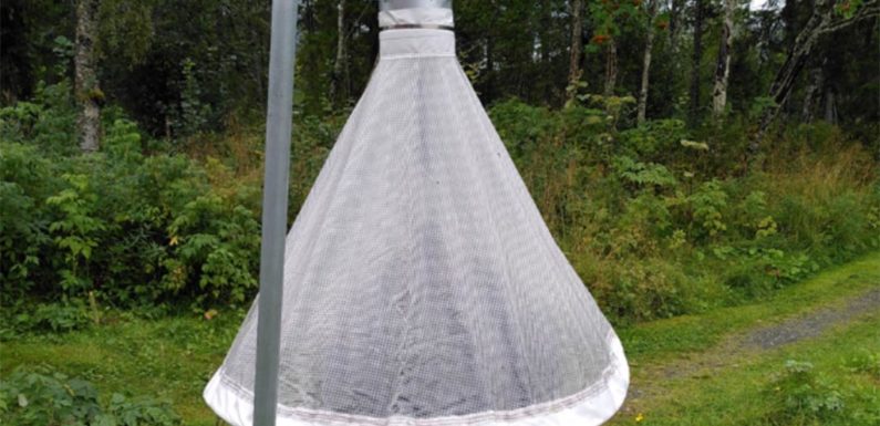 Landkreis informiert: „Bremsenfallen“ verstoßen gegen den Artenschutz