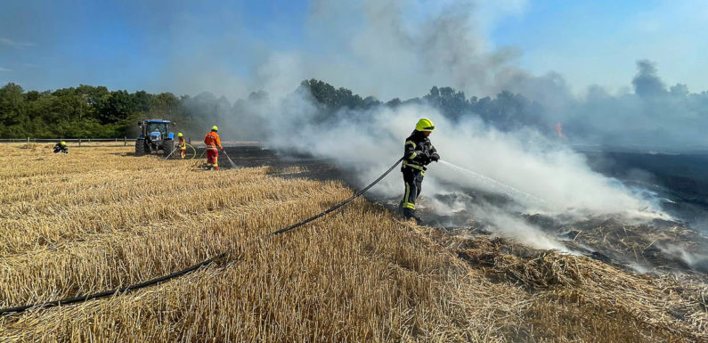 Feld in Bückeburg brennt auf 3,5 Hektar Fläche: Bahnstrecke und Bundesstraße zeitweise gesperrt