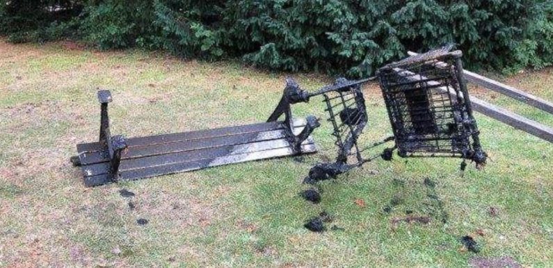 Bückeburg: Vandalismus im Schlosspark