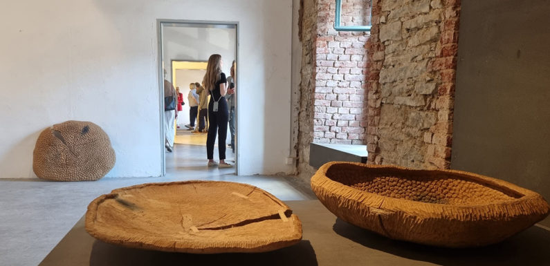 Künstler-Gespräche in der Ausstellung „Natur & Mensch“ / Fotos für „Lebendiges Stadthagen“ gesucht