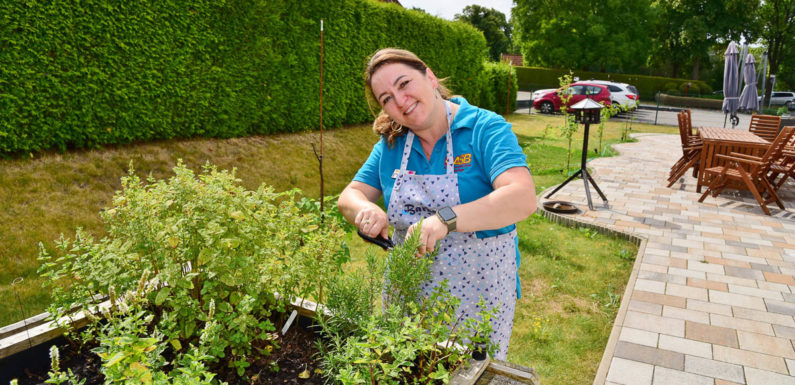 „Mehr als nur essen, trinken und rumsitzen“: Ein Tag in der ASB-Tagespflege Bückeburg
