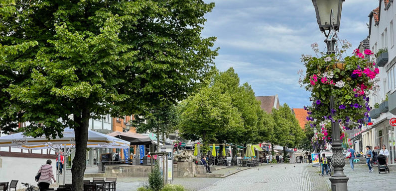 Bückeburg: Bordcomputer von E-Bike gestohlen