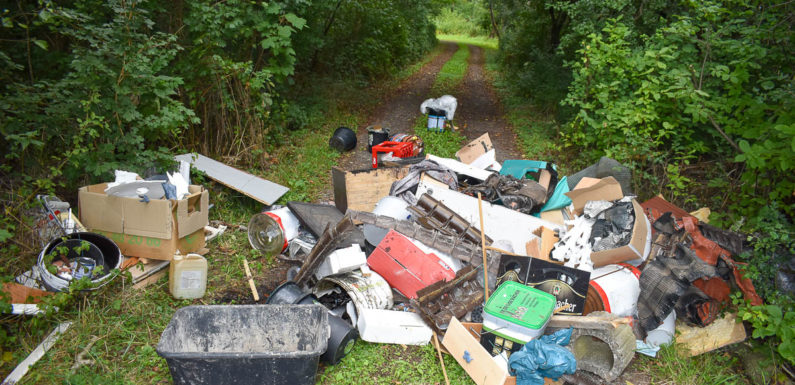 Illegale Müllentsorgung in Sachsenhagen: Altöl läuft in Erdreich
