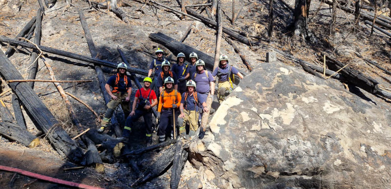 Waldbrandbekämpfung in Sachsen: Schwerstarbeit mit Unterstützung durch 28 Feuerwehrleute aus Schaumburg