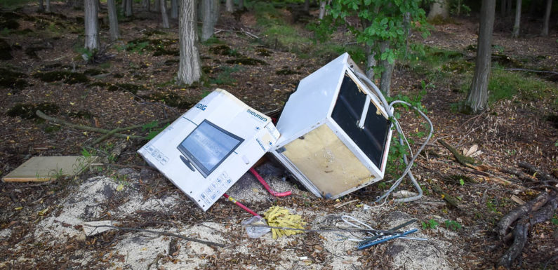 Illegale Müllentsorgung im Schaumburger Wald