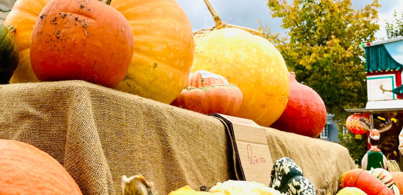 Bad Nenndorf: Herbstlicher Bauernmarkt und verkaufsoffener Sonntag am 15. und 16.10.2022