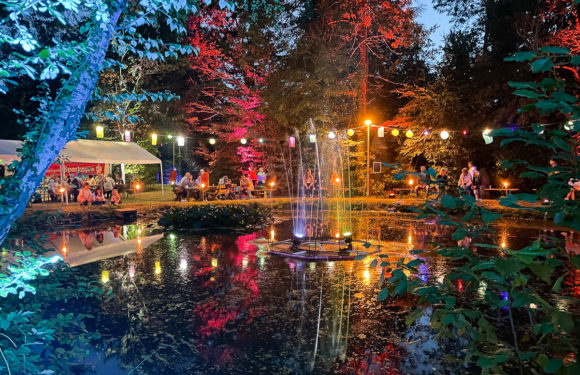 Romantiktreff am Dorfteich in Meinsen-Warber