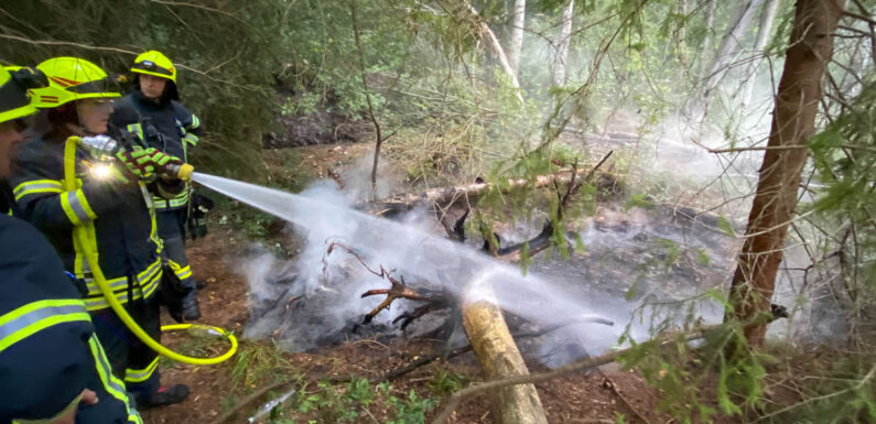Feuerwehren löschen kleinen Flächenbrand bei Sachsenhagen