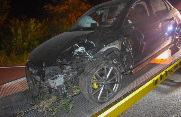 Unfreiwilliger Ausflug ins Grüne