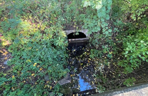 Mühlengraben-Pläne sorgen für Diskussionen: Verrohrung sanierungsbedürftig / Keine Relevanz für Hochwasserschutz