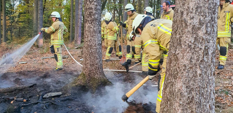 Aufmerksame Zeugin und Feuerwehren verhindern Waldbrand am Bückeberg