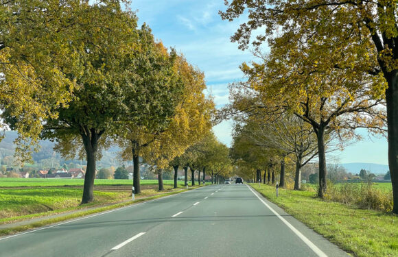B83: Mehrwöchige Vollsperrung wegen Bauarbeiten zwischen Westendorf und Schaumburg