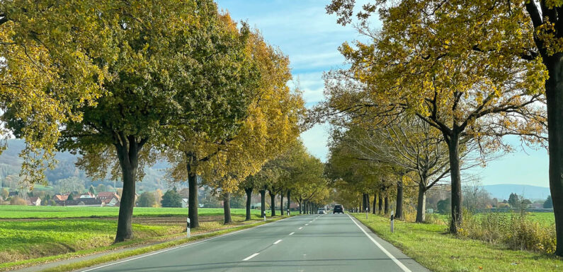 B83: Mehrwöchige Vollsperrung wegen Bauarbeiten zwischen Westendorf und Schaumburg