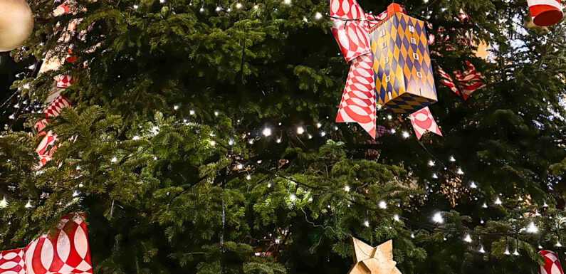 SHG-Aktuell.de wünscht Frohe Weihnachten