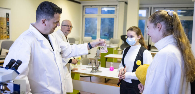 Über 40 Unternehmen aus Schaumburg und Umgebung bei Berufsmesse der IGS Obernkirchen