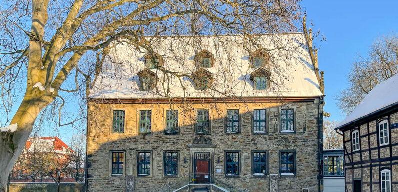 „Henri und Henriette feiern Weihnachten“: Bilderbuchkino in der Stadtbücherei