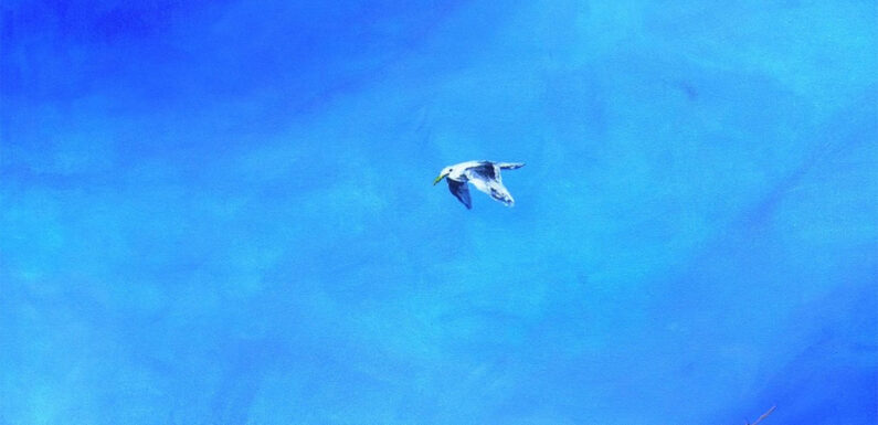 Neu in der VHS-Galerie in Stadthagen: Auf „Spurensuche“ mit Rolf Netzer