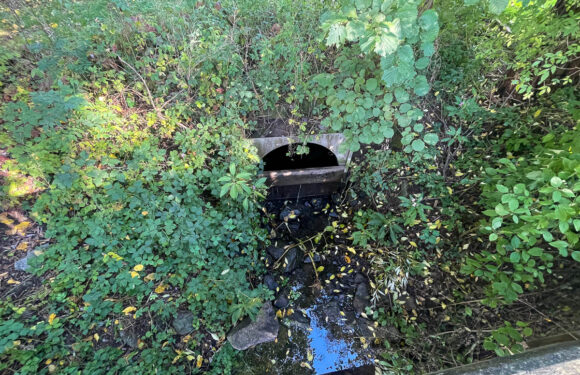 Mühlengraben-Pläne stoßen nicht überall auf Zustimmung: Freie Wähler fordern Nachjustierung und weitere Informationen vor Zuschüttung